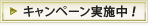 キャンペーン実施中！