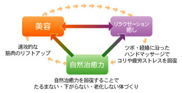 モンテセラピーとは？