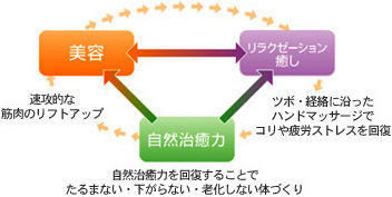 図：モンテセラピー